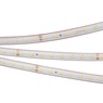 Лента светодиодная RTW 2-5000PS-50m 24V White6000 (2835, 80 LED/m, LUX) (Arlight, 6 Вт/м, IP67)