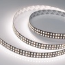 Лента светодиодная RT-5000-2835-320 24V White6000 (BLACK 15mm, 24W/m, IP20) (Arlight, -)