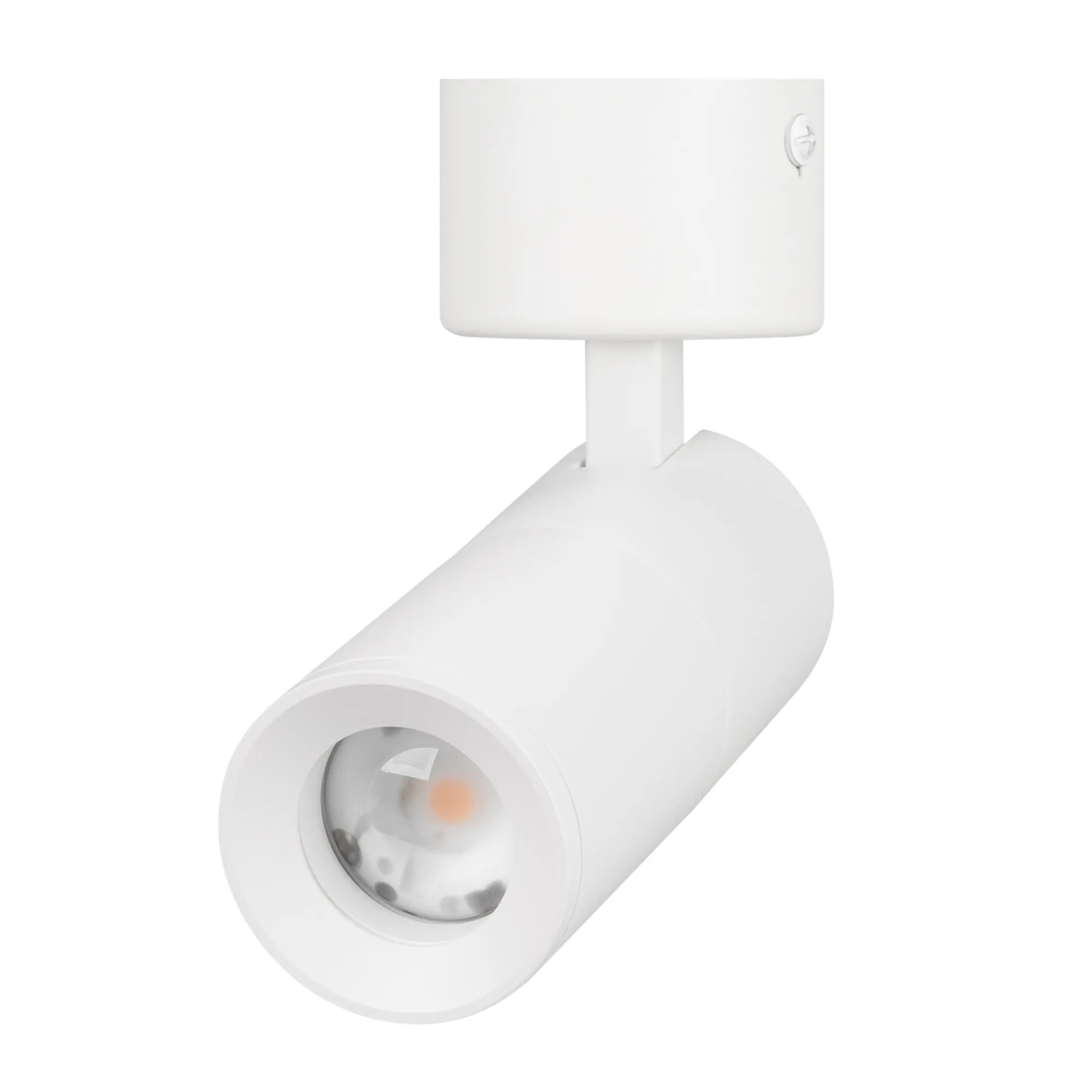 Светильник SP-ARTEMIS-SURFACE-FLAP-R55-12W Day4000 (WH, 8-80 deg, 230V) (Arlight, IP20 Металл, 5 лет) - изображение товара
