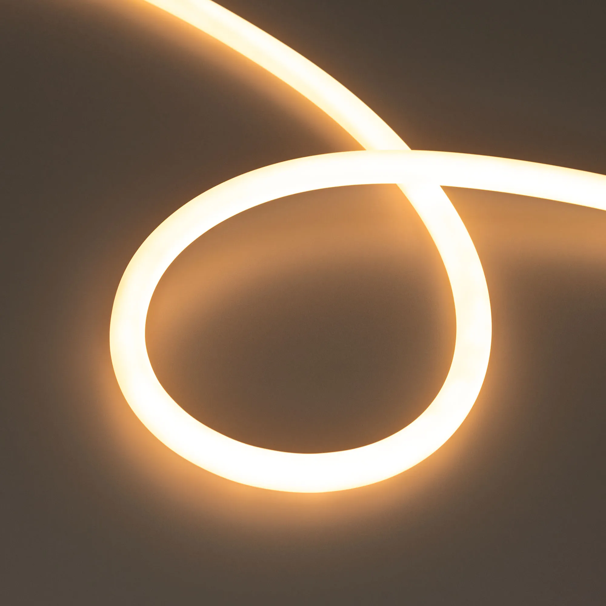 Лента светодиодная герметичная MOONLIGHT-TOP-M560-D13mm 24V Warm2300 360deg (8.6 W/m, IP65, 5m, wire x1) (Arlight, Вывод прямой, 3 года)